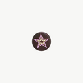 Double Star Pin (s)