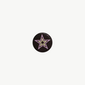 Double Star Pin (s)